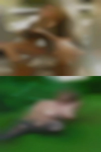 Naked botched sexy girls.